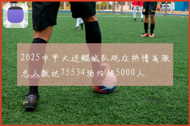 2025中甲大连鲲城队观众热情高涨总人数达75534场均超5000人